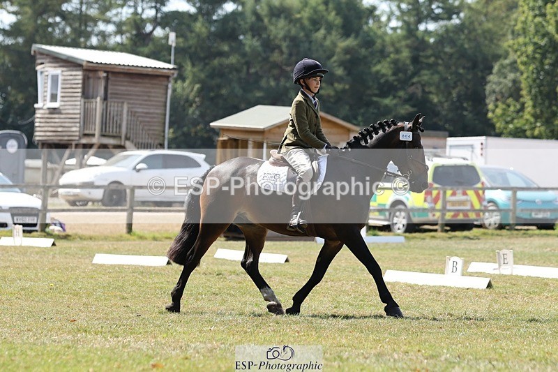 250823A-123154-29812 - Arena C