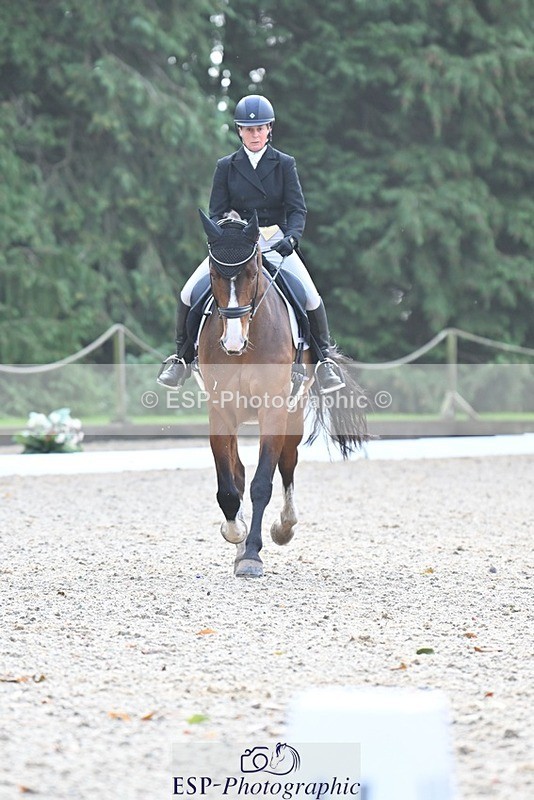 231019-110342-02034 - 105-BRIGHT.KNIGHT.III-Janet.Clarke-DR