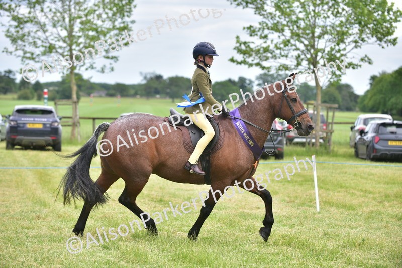 20260614-2719 - Class 13 - Pony Club Pony