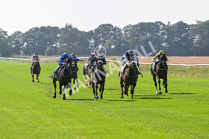 300824-Race 4-Tinto-5953 - Race 4