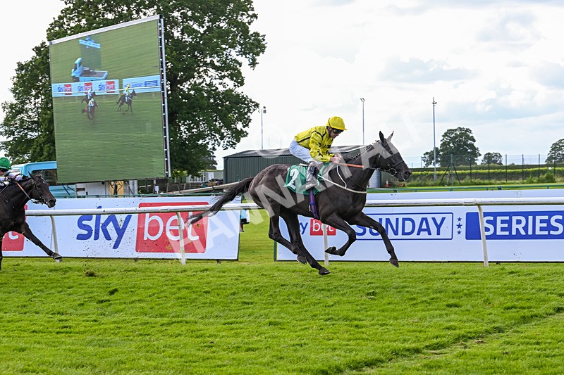 160624-Race 4-Align The Stars-8830 - Race 4