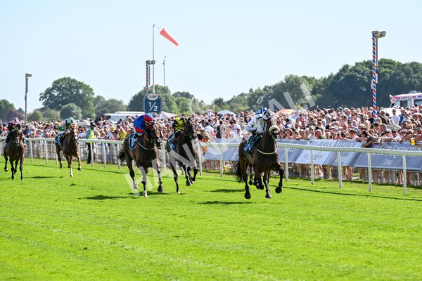 120725-Race 4-Al Qareem-0312 - Race 4 3.45pm John Smith's Silver Cup Stakes