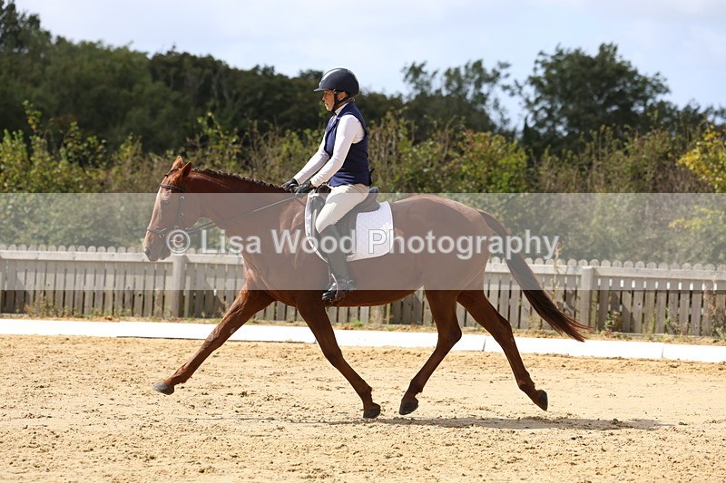 3E7A4002 - Class 9: Novice 6 Section B Championship