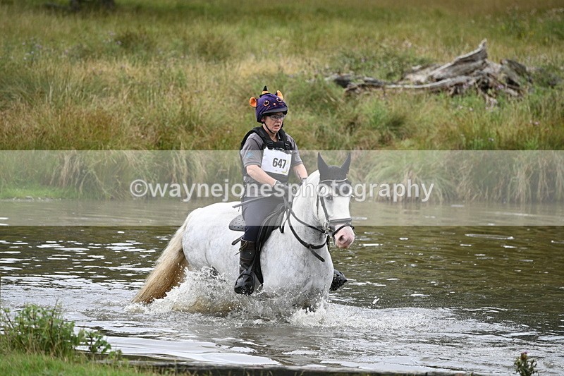 WJ7_2672 - Time at Water 11:37 to 12:13