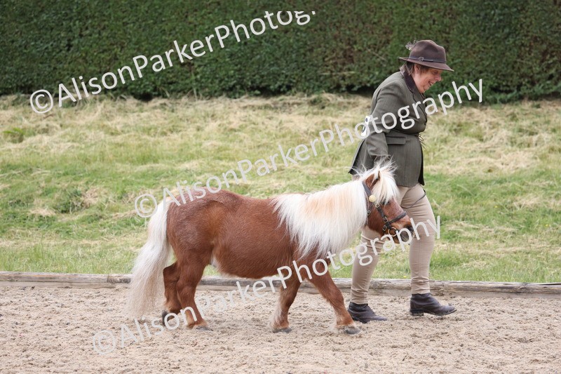 20250524-0628 - Class 7 - Veteran