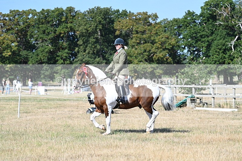 WJ7_3262 - Class 8 Ridden Tack & Turnout