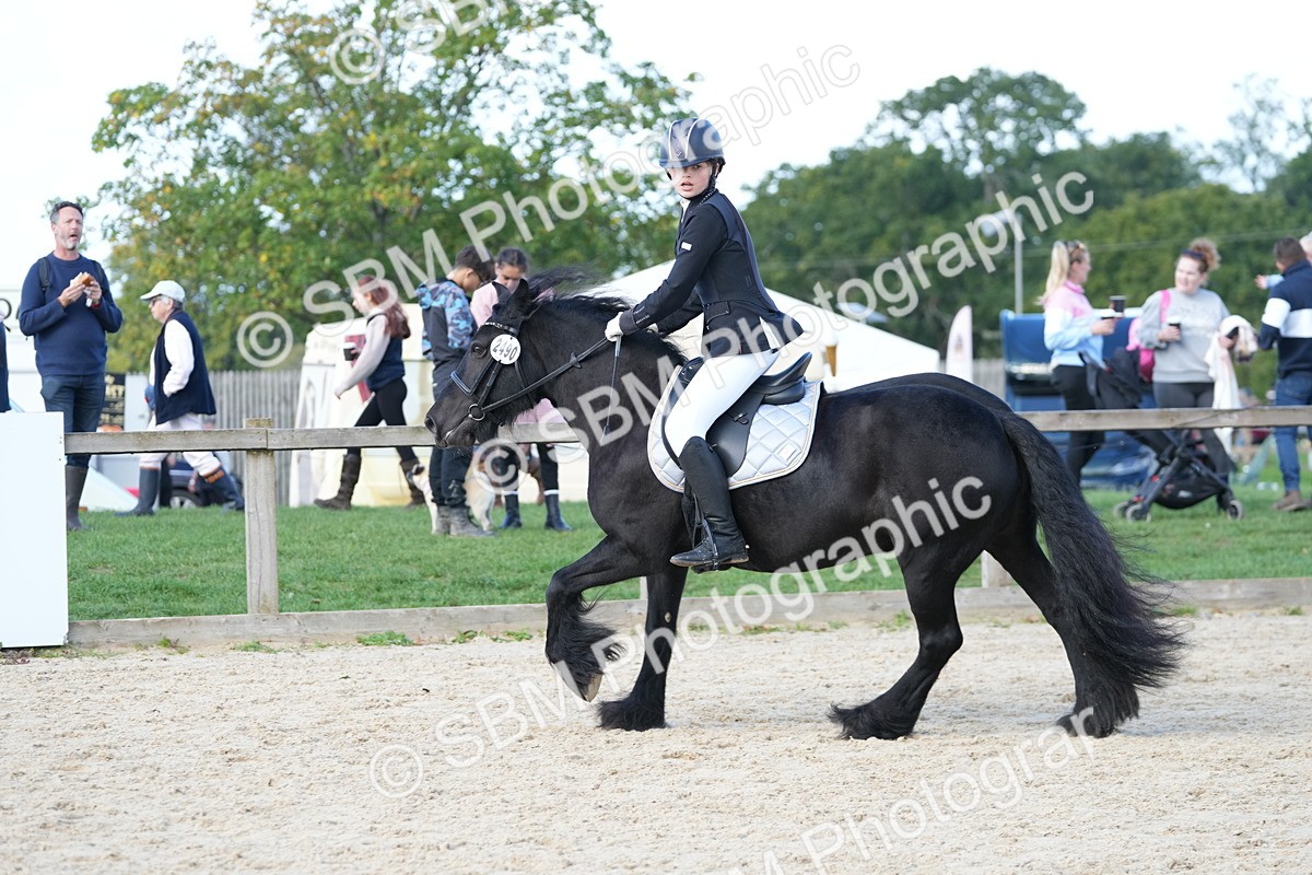 SBM_17918 - J58 - Clear Round 50cm