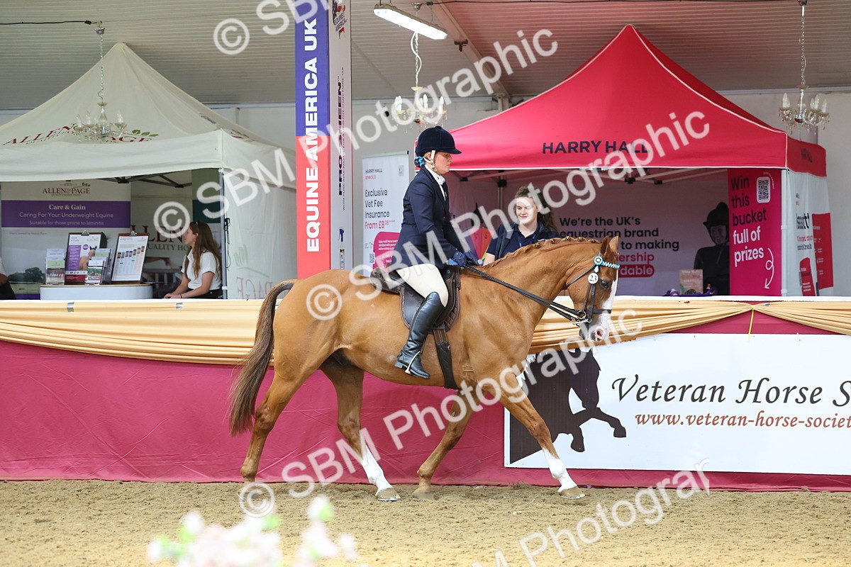 SBM_24031 - Class 905 - Supreme Final - Ridden Veteran