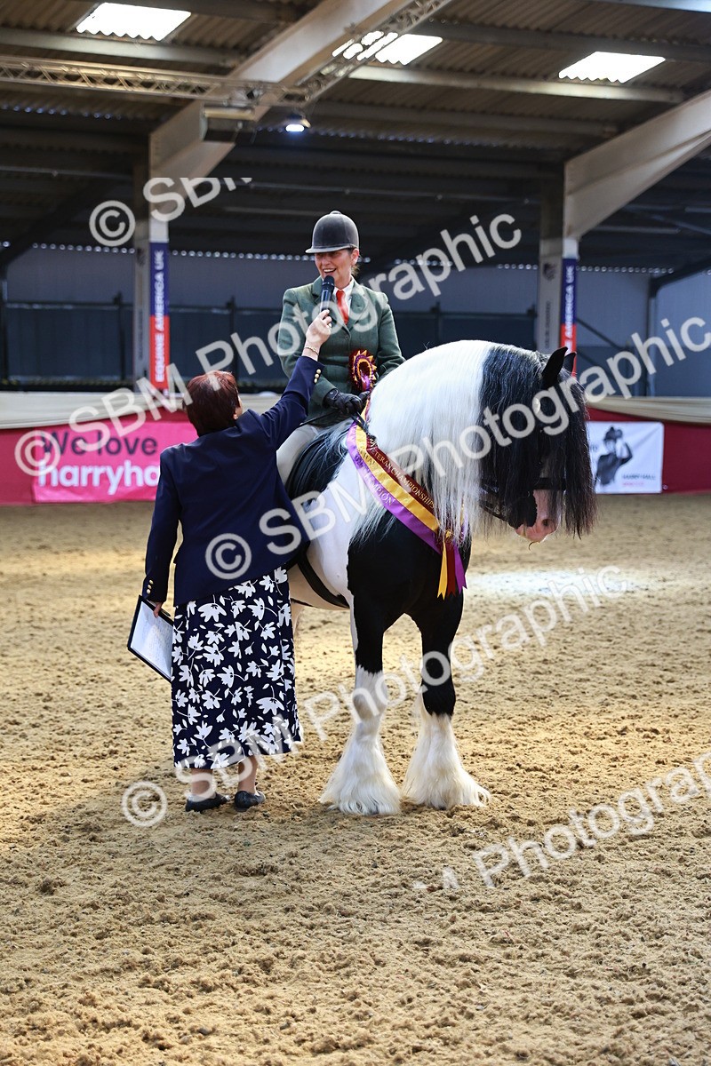 SBM_12783 - HOYS Veteran Qualifier - Ridden Champ