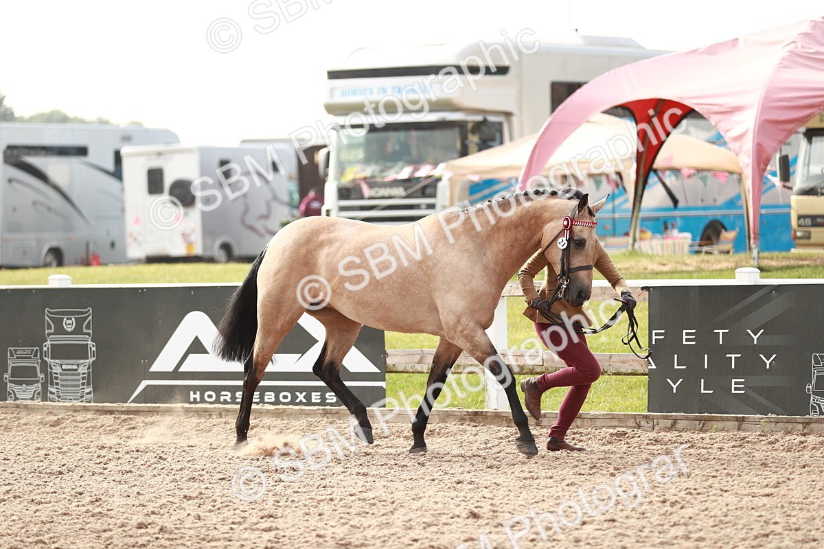 SBM_10522 - Class 204 Young Handler, 11-16 years