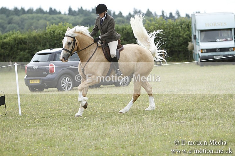 BVR160717-423 - Ring 3 BVRC Show 16/07/17