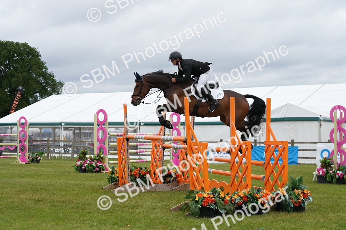 SBM_03272 - Class 201 - British Horse Feeds Speedi Beet Horse of the Year Show Grade  C