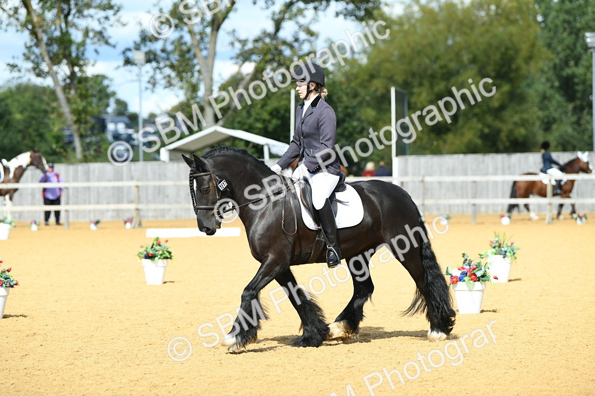SBM_06604 - D15 Small Tour Championship Novice 24