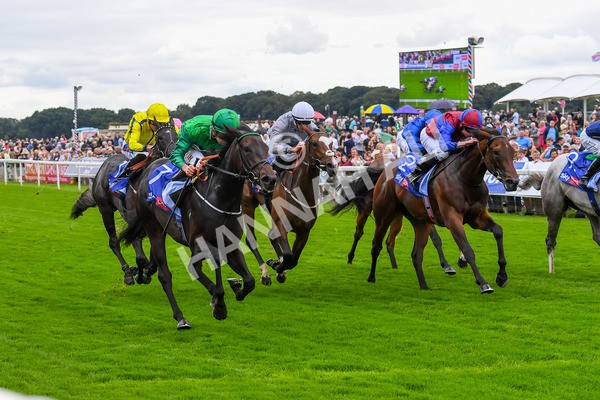 240823-Race 1-Relief Rally-0079 - Race 1 1.50pm Sky Bet Lowther Stakes