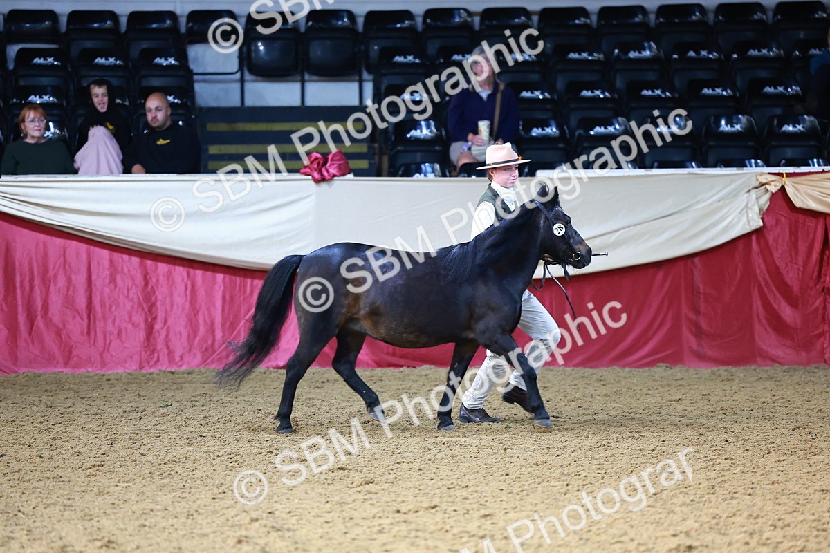 SBM_21793 - Class 901 - Supreme Final - IH  Diamond