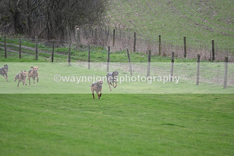 WJ6_8957 - Line Three