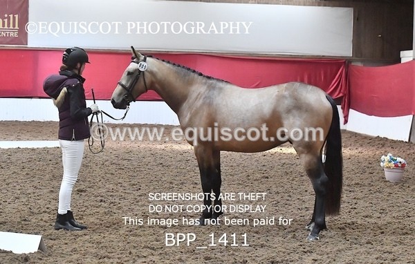 BPP_1411 - MORNING 9AM - 12PM