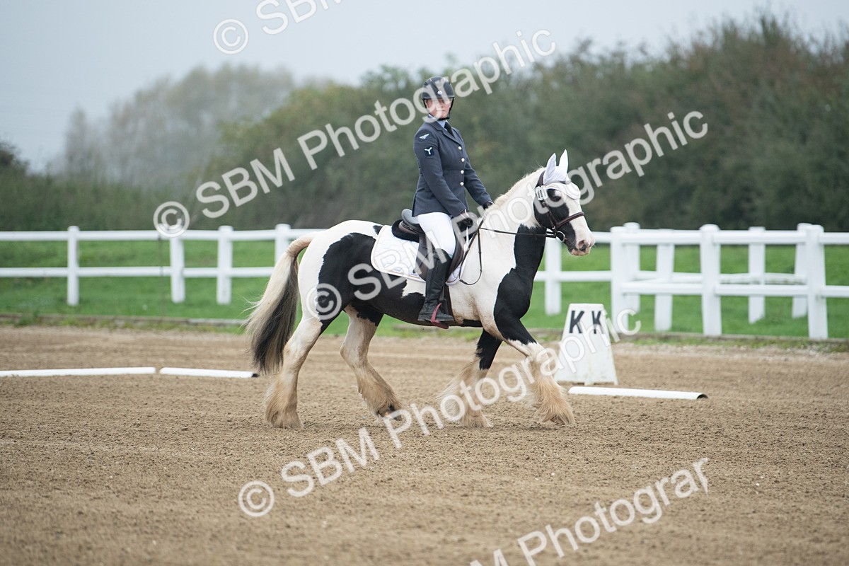 SBM_003361 - Introductory Test 3