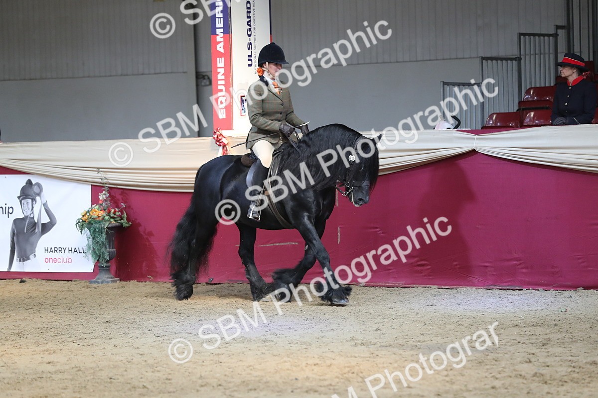 SBM_08277 - Class 11R Regional Ridden Veteran