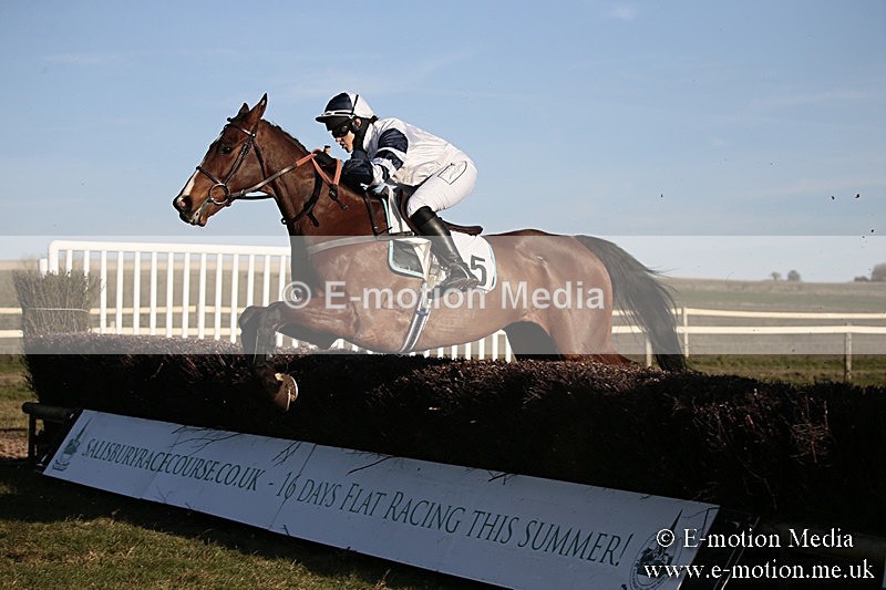 PtP 240218 680 - Vine & Craven Hunt Point-to-Point Barbury racecourse 24/02/18