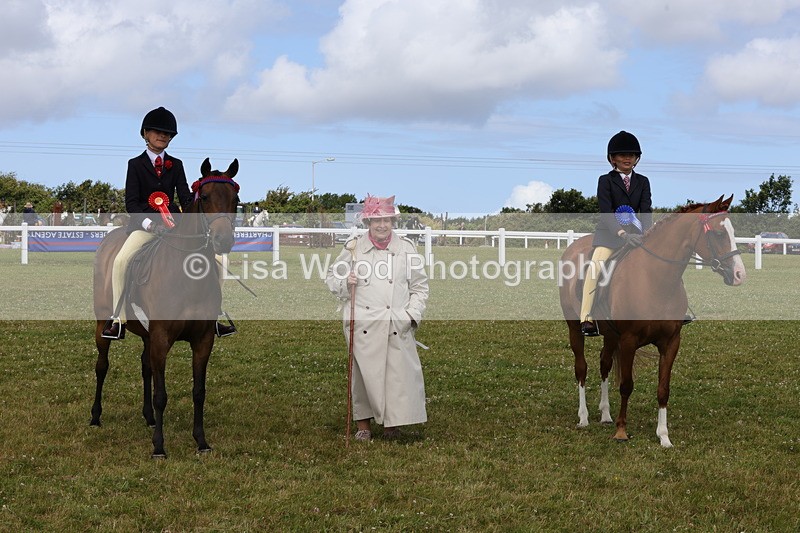 1X9A3932 - Class 31: Show Pony 148cm and under