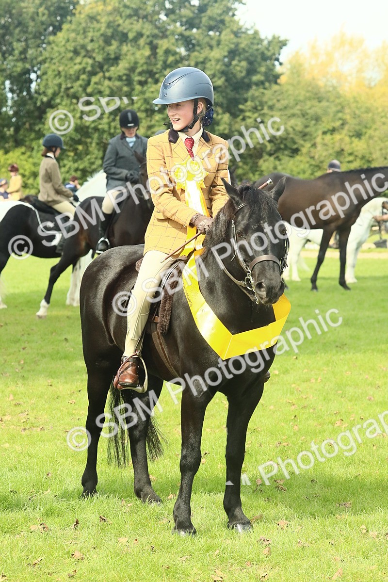 SBM_66749 - S34 - Rehabilitated Rescue Horse & Pony In Hand & Ridden