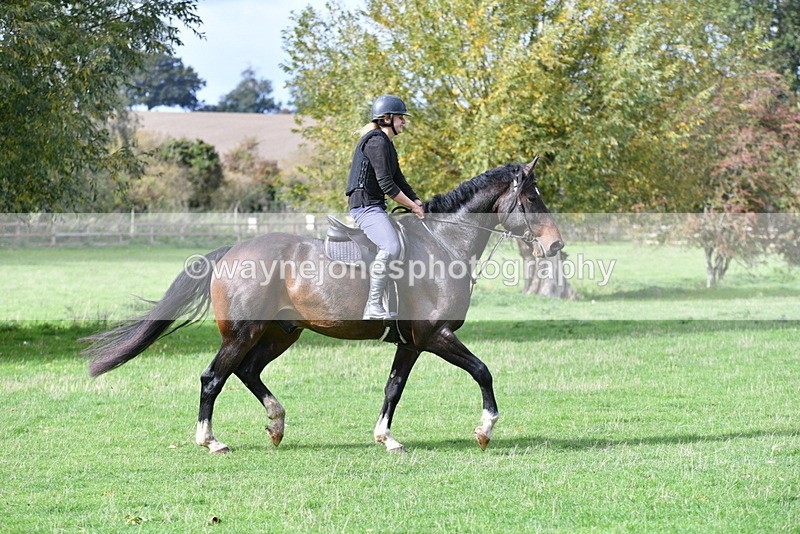 WJ5_0078 - Time 13:25 to 13:58