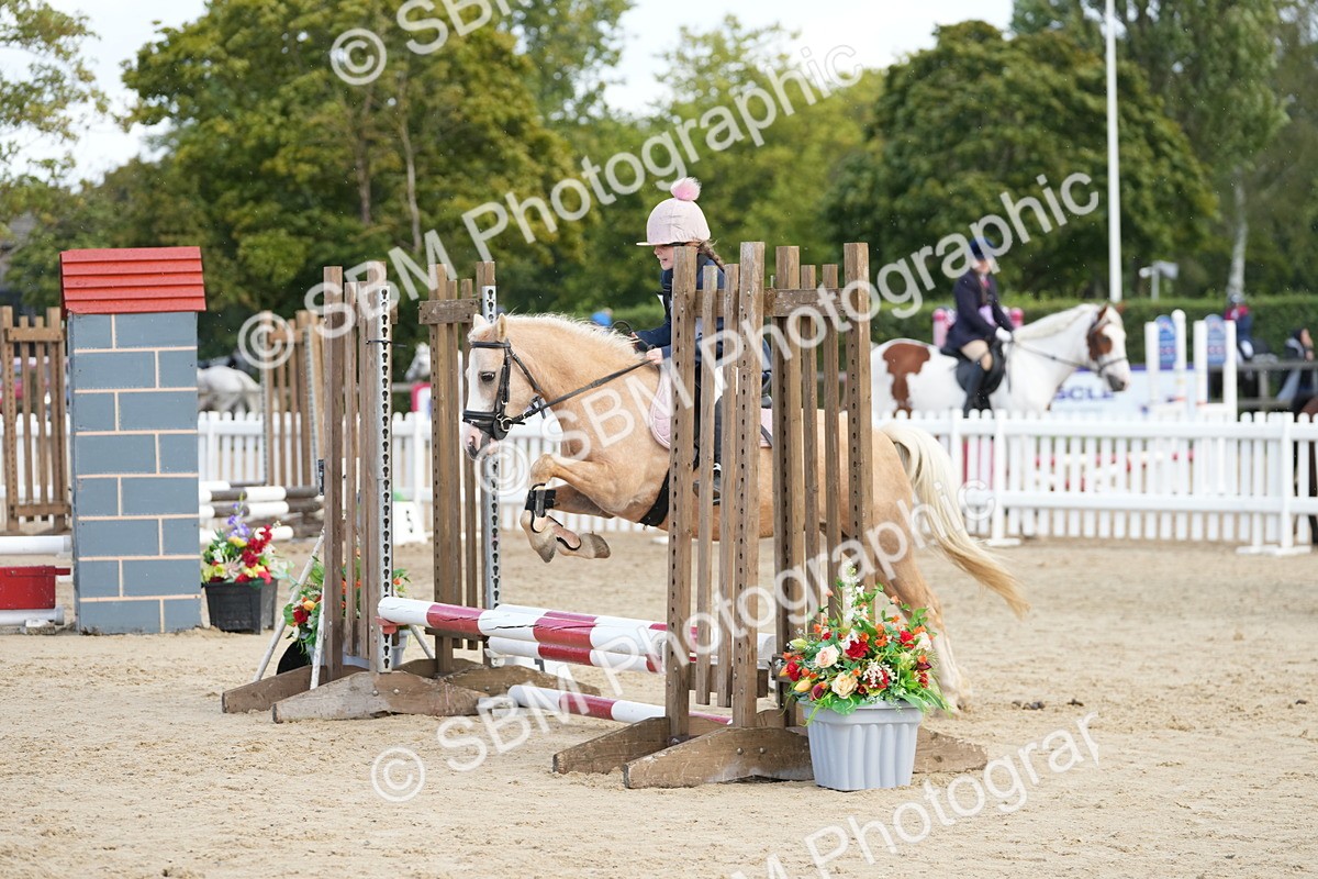 SBM_21137 - J49 - Open 50cm