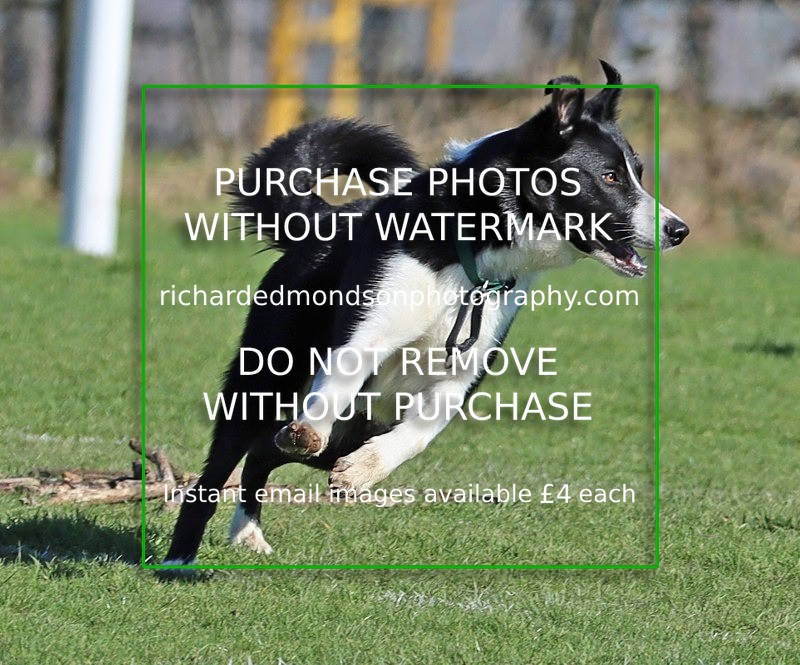 IMG_6724 - Ibis Utd v Wattsfield Part 2 (5/3/22)