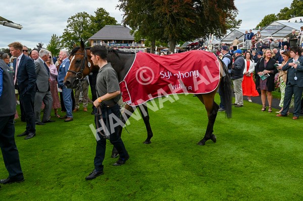 210824-Race 1-Jm Jungle-4797 - Race 1 1.50pm Symphony Group Handicap