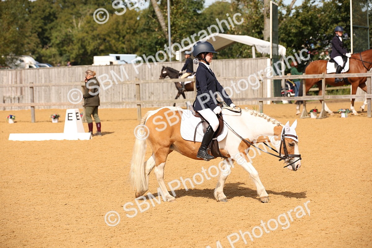 SBM_21813 - D5 - Small Tour Championship - Intro C