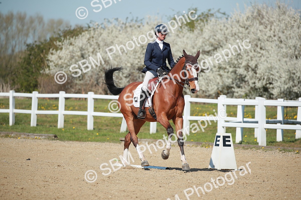 SJ3_0951 - Class 8 - E5