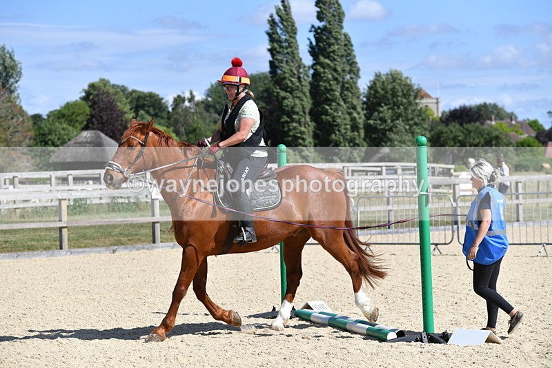 WJ5_5010 - Poles on the Floor