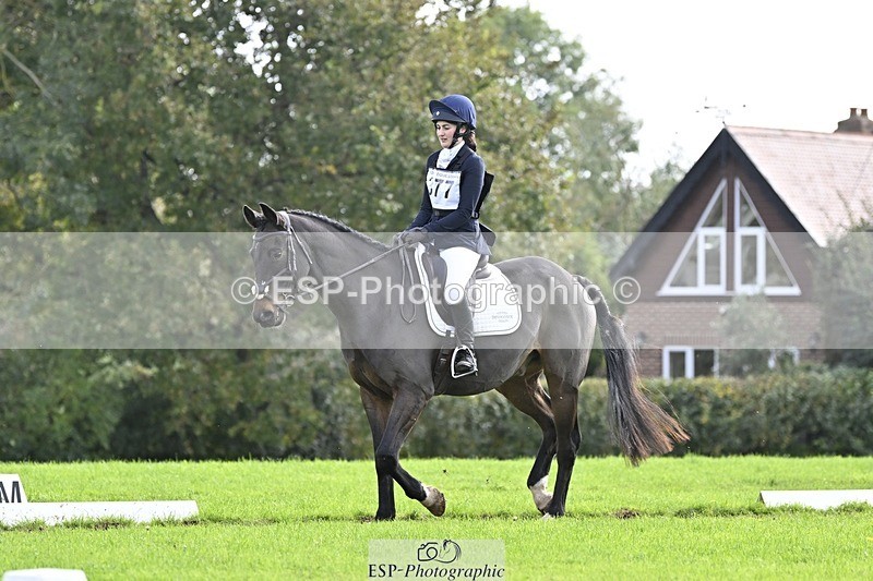 241025-132219-09432 - 377-Bethany.Hull-CARRICK.DIAMOND.OLIVER