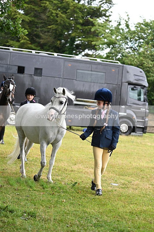 WJ7_5830 - Class 4 Prettiest Mare in Hand