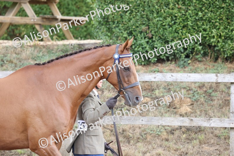 20260831-1928 - Class 5 - Retraining of Racehorses