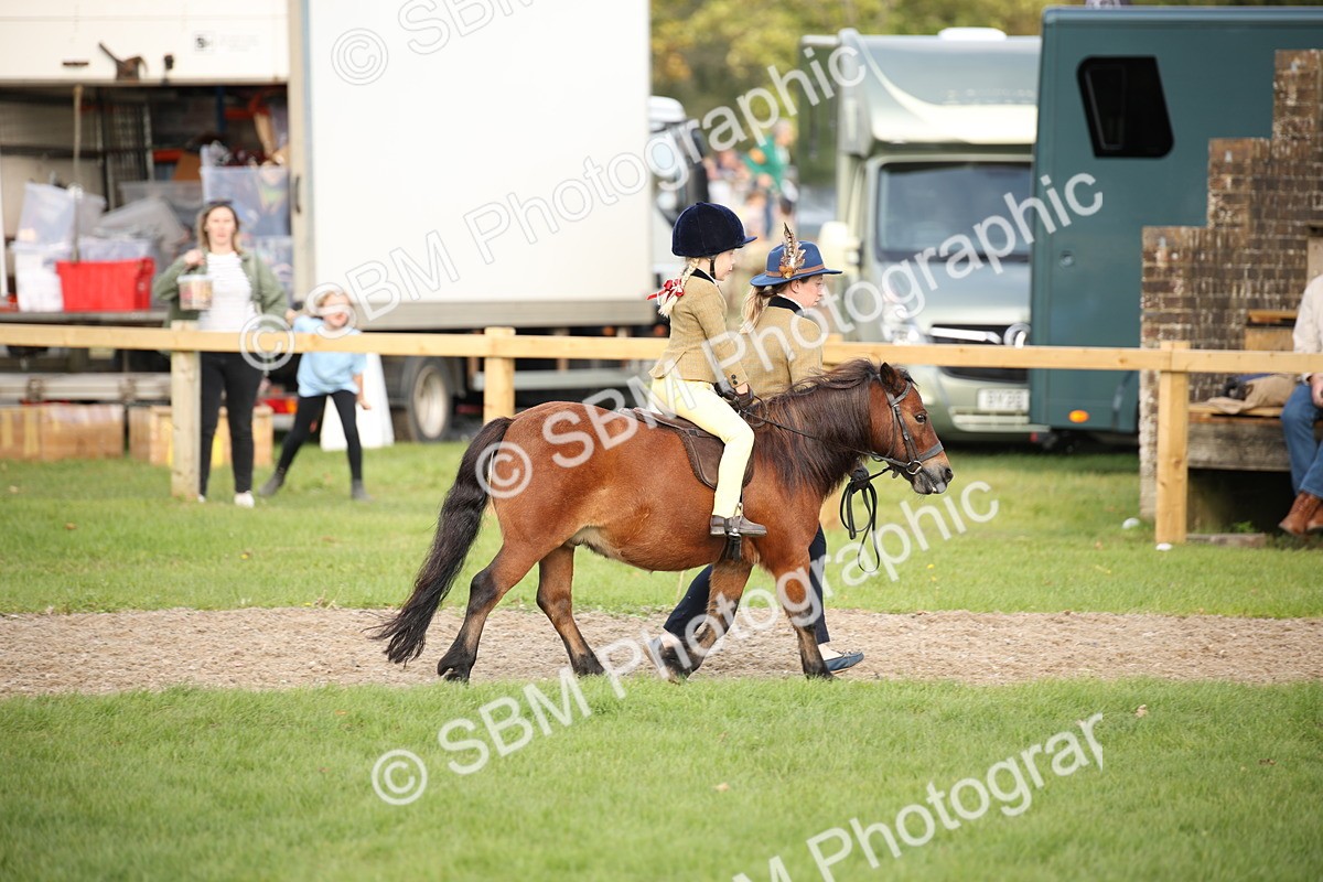 SBM_54262 - S27 - Mature Veteran - Ridden