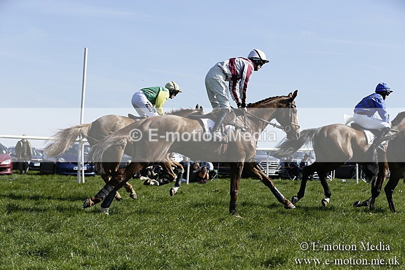 PtP 260317 194 - Mendip Farmers Point-to-Point Ston Easton 26/03/17