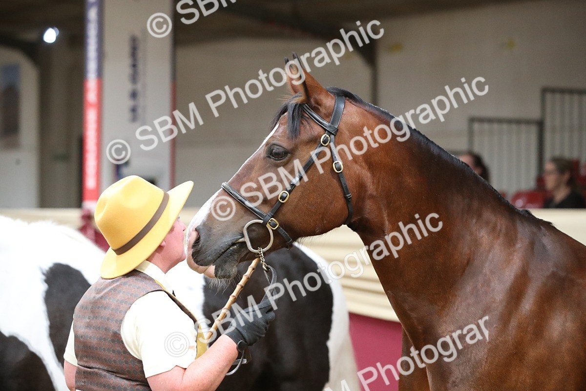 SBM_05669 - Class 9R - Regional IH Pre-Vet