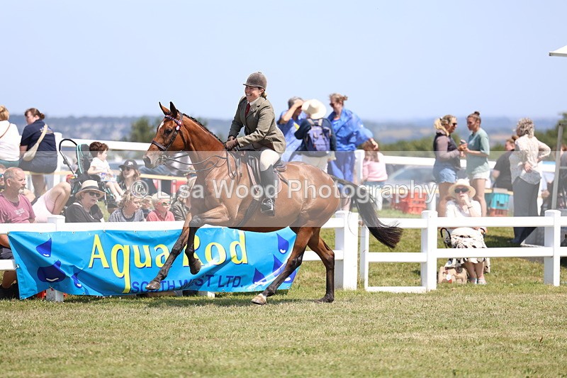3E7A9366 - Class 12: Open Racehorse to Show Horse