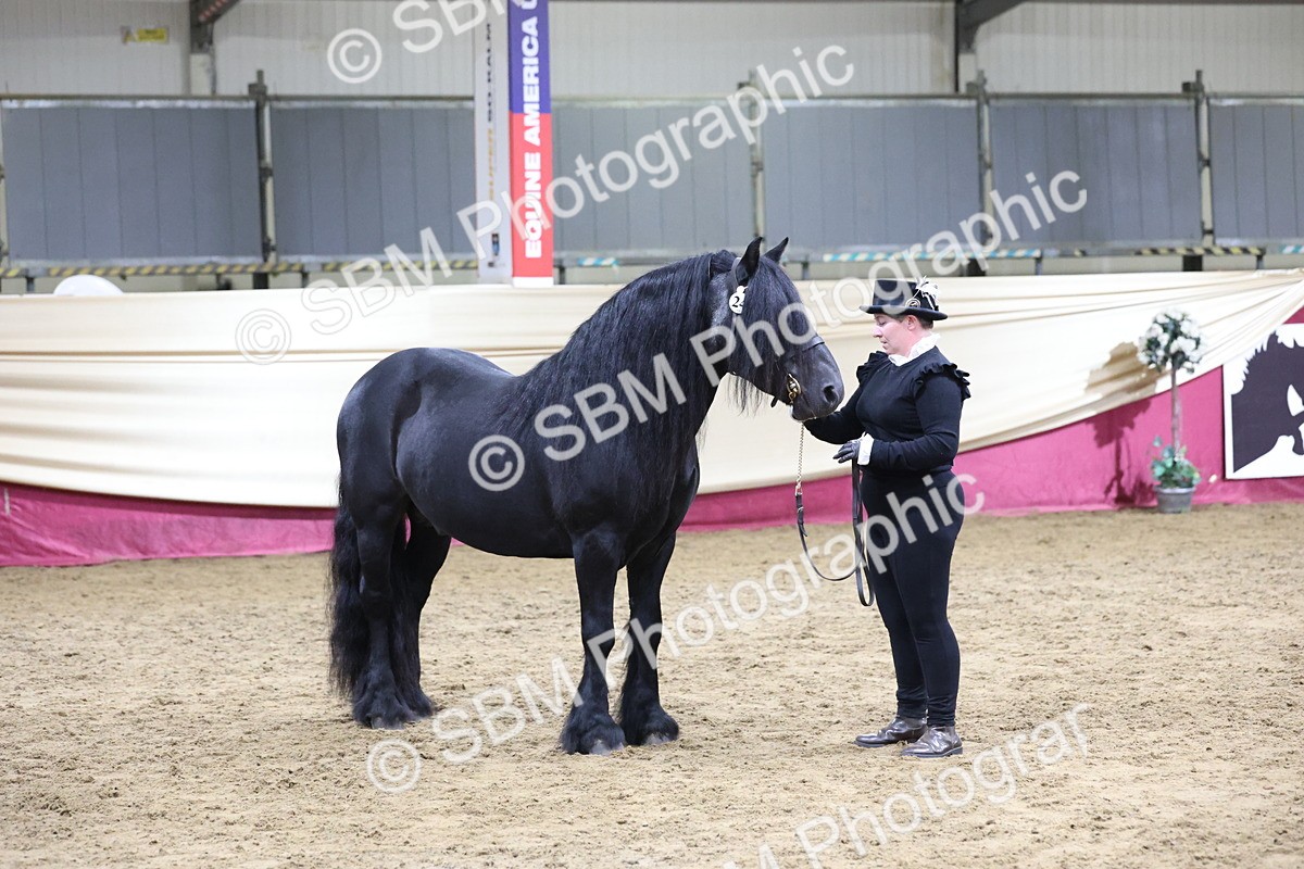SBM_20446 - Class F - IH Small (148cm & Under)Champ