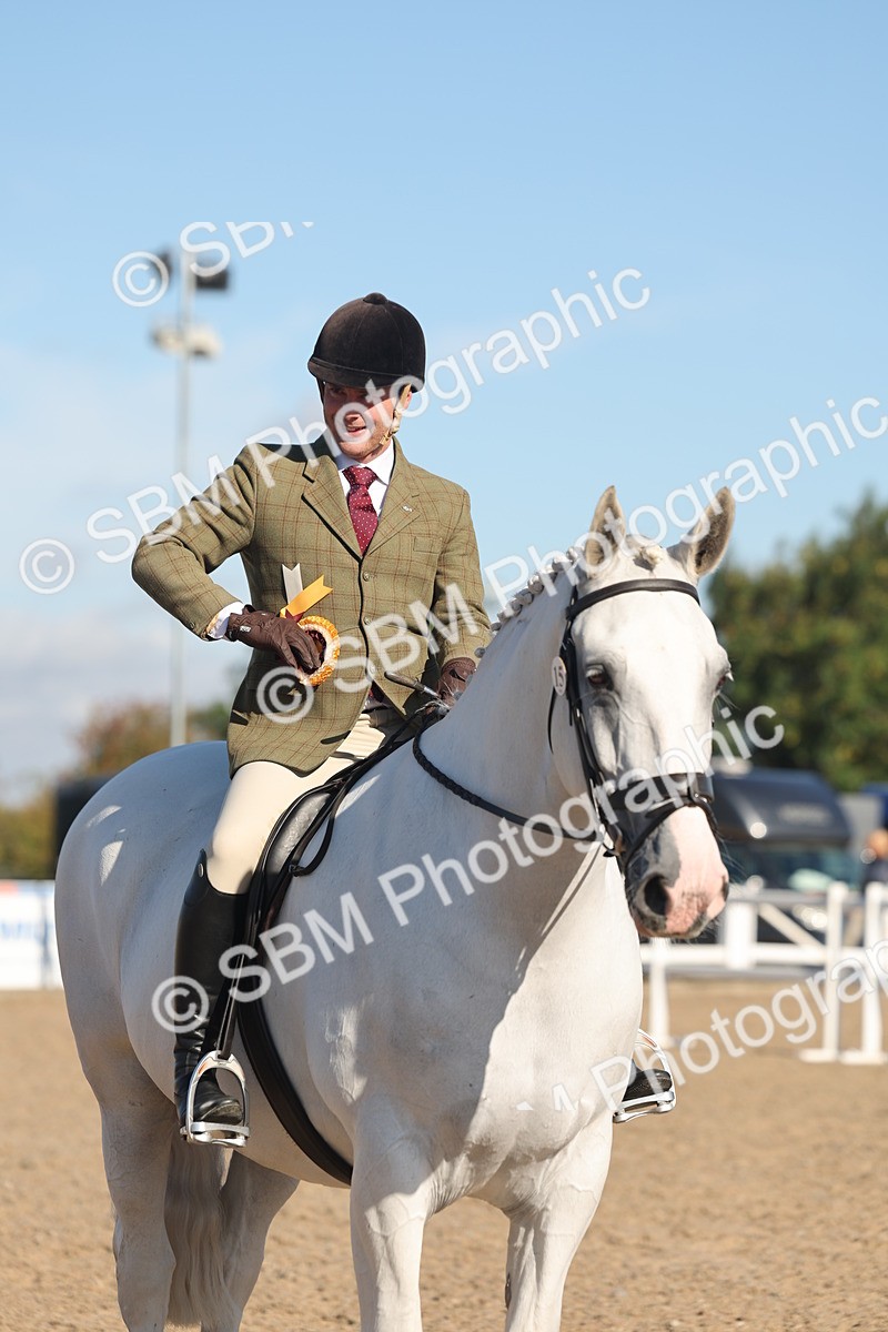 SBM_12256 - Class 303 - Ridden Pure Bred Horse Pony
