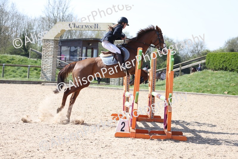 20250409-0642 - Class 4 - Pony British Novice