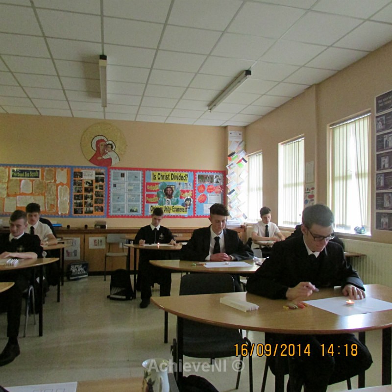  - Peer Mentoring 2014