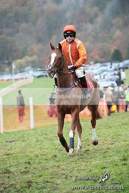 PtP 091125  1284 - Point-to-Point Wales Area Club Lower Machen, Gwent 09/11/25