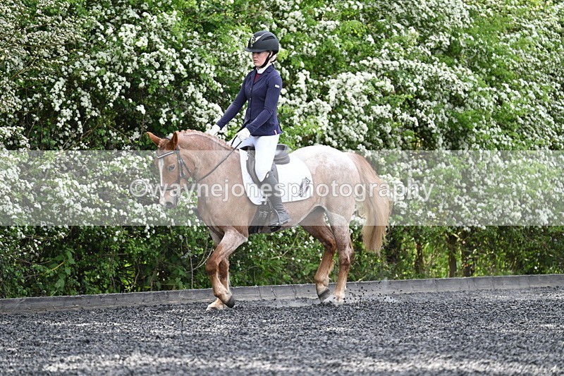 WJ7_8092 - Time 10:11 to 10:27