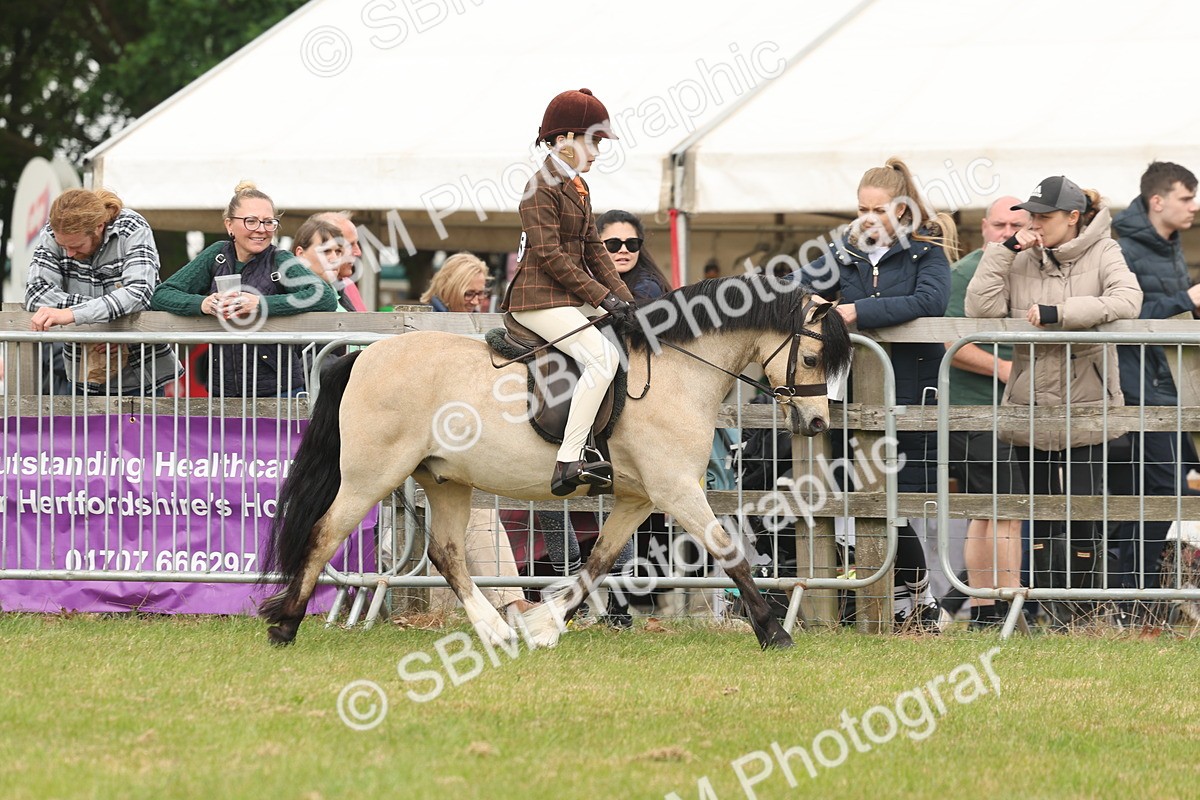 SBM_07092 - Class 76-77 - Ridden M&M Welsh Ponies