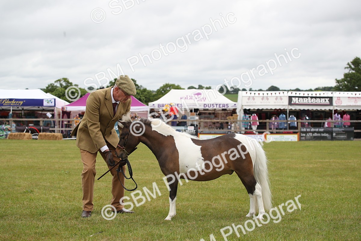 SBM_03979 - Class 23-25 - British Miniature Horse of the Year