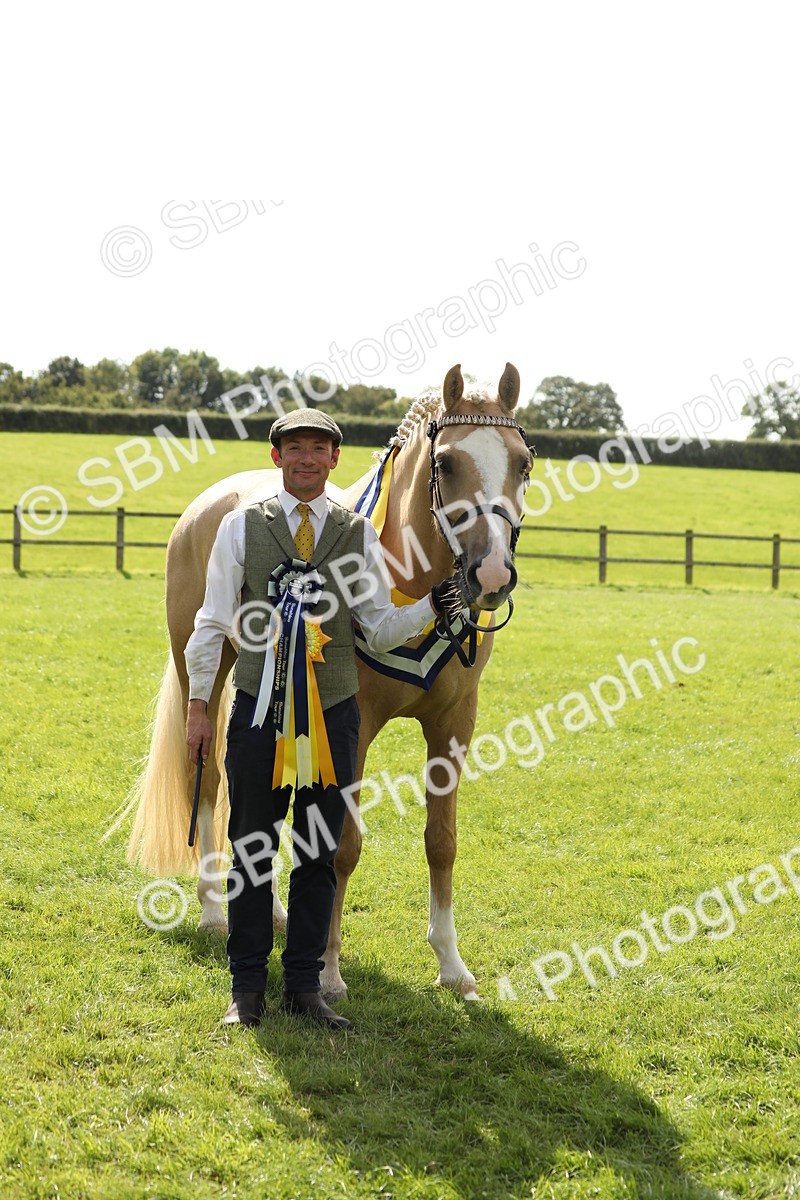 SBM_66344 - In Hand Pony & Youngstock Supreme Championship