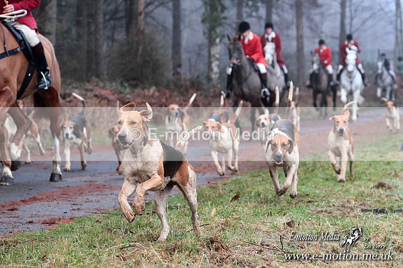 HUPY 261224 343a - Pytchley with Woodland Hunt Boxing Day Meet 26th December 2024